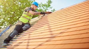 Best Roof Moss and Algae Removal  in Desert Hills, AZ