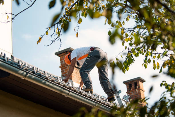 Roof Coating Services in Desert Hills, AZ