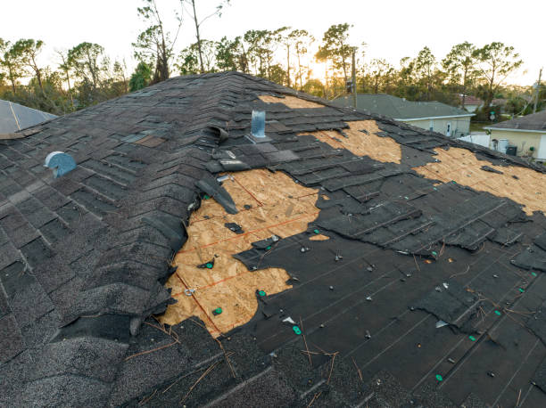 Best Roof Moss and Algae Removal  in Desert Hills, AZ
